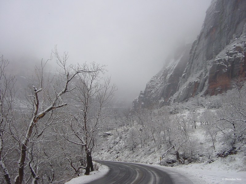 Zion National Park - Zion National Park 1-05 500